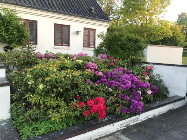 Dreamcenter Ballerup Boulevard Bagian luar foto