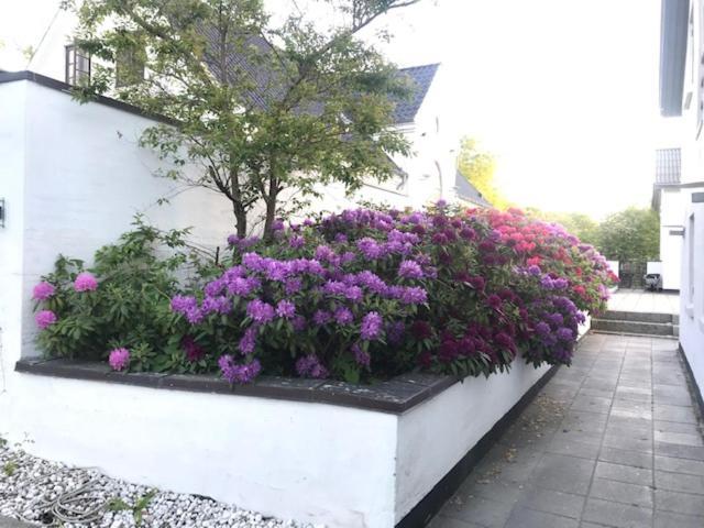 Dreamcenter Ballerup Boulevard Bagian luar foto