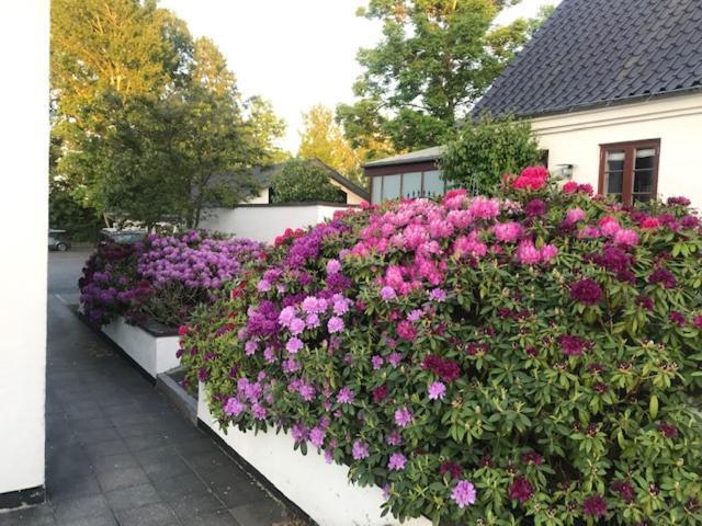 Dreamcenter Ballerup Boulevard Bagian luar foto